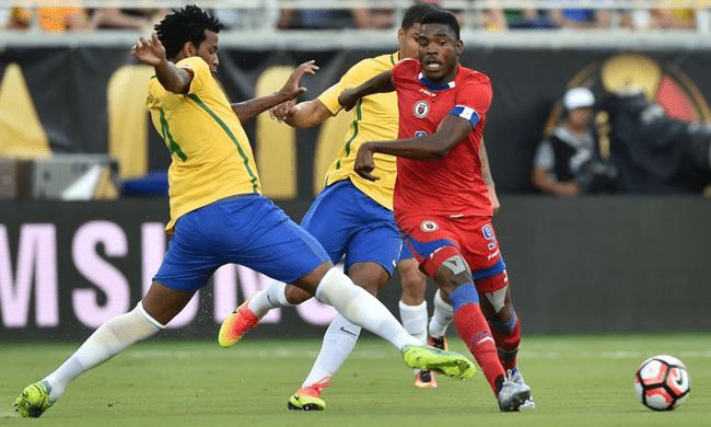 这些细小的 这些细小的