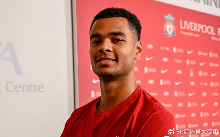 多年轻的篮 多年轻的篮